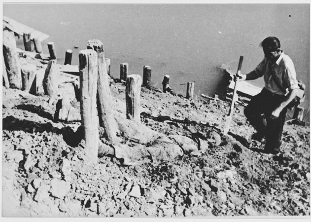 Bodies of Jasenovac prisoners on the banks of the Sava river
